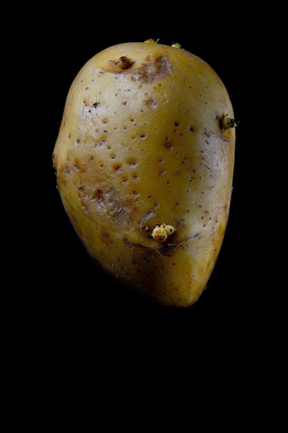 Root potato on a black background looks like a face