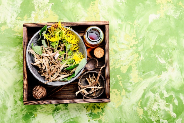 Root and tincture of elecampane