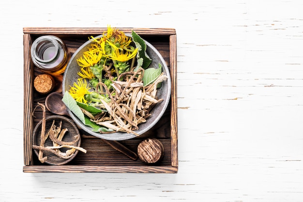 Root and tincture of elecampane