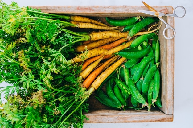 Roots fresh dirty vegetables carrots, beets and peas in wooden box on marble background