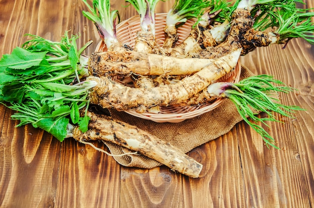 Roots of young horseradish on a wooden background.