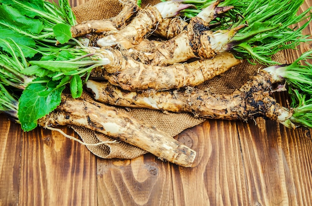 Roots of young horseradish on a wooden background.