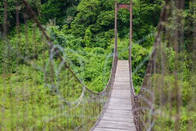 Rope bridge in Kaeng Krachan National Park