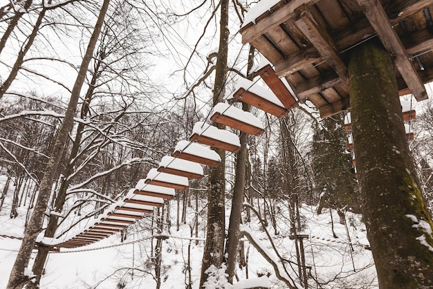 Rope park covered with snow is located in the trees in a desert forest in winter