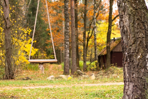 Rope swing hanging on a birch tree in the countryside in autumn