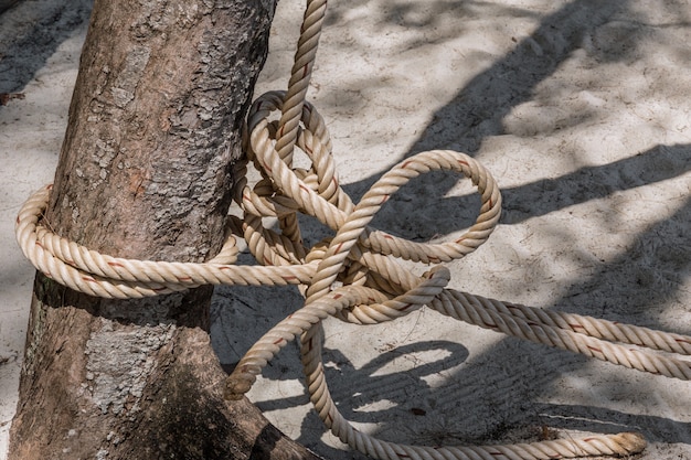 Rope tie from fishing boat with tree closeup