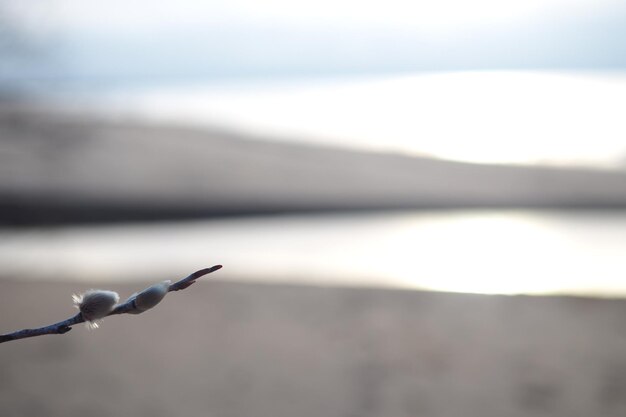 A rope with a blurry background and the sea in the background.