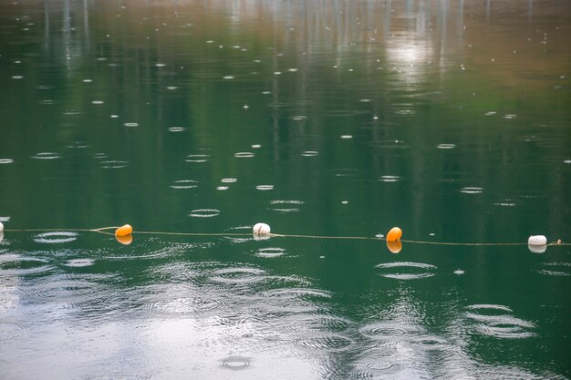 深い湖や海での遊泳を禁止するために、水面に白と黄色の制限マーカーが付いたロープ。