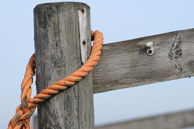 Photo rope on a wooden pole