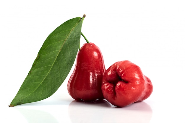 Rose apple or chomphu