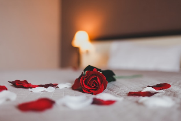 Rose on the bed in the hotel rooms