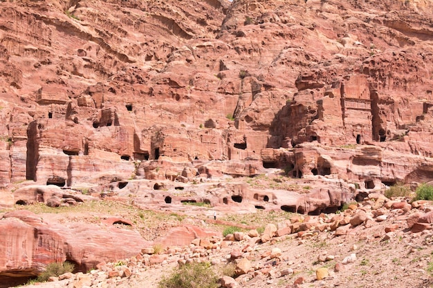 Rose City of Petra