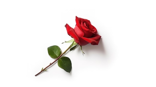 Rose Day geïsoleerd op witte achtergrond Generative ai