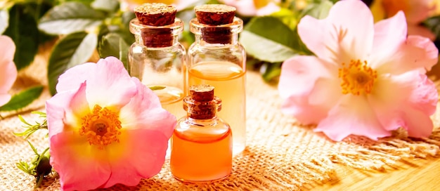 Rose essential oil rosehip Selective focusnature objects