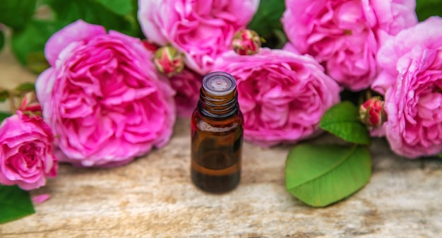 Rose essential oil in a small bottle. Selective focus. Nature.