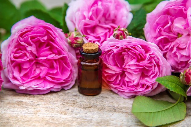 Rose essential oil in a small bottle. Selective focus. Nature.