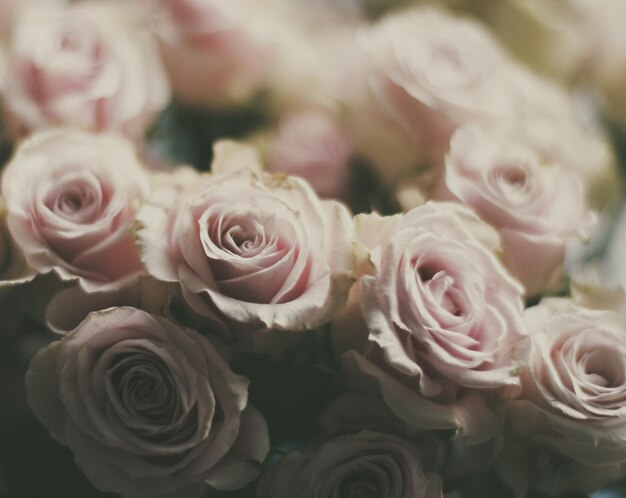 Bouquet di fiori di rosa vacanze di nozze e concetto in stile giardino floreale