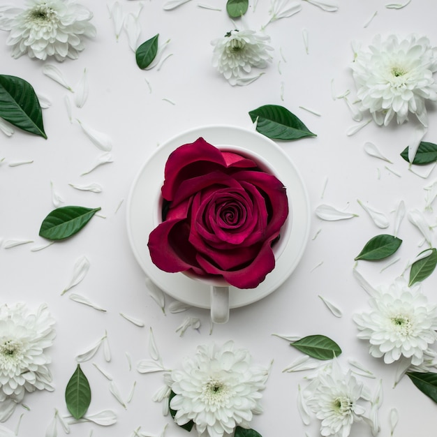 白い背景の上のコーヒーカップのバラの花。