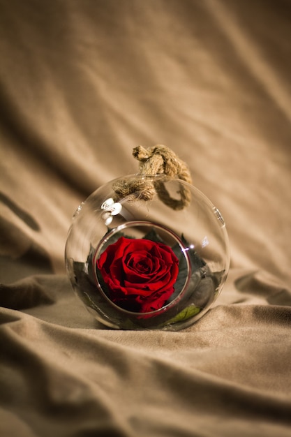 Photo rose flower decorated in glass bowl with cord