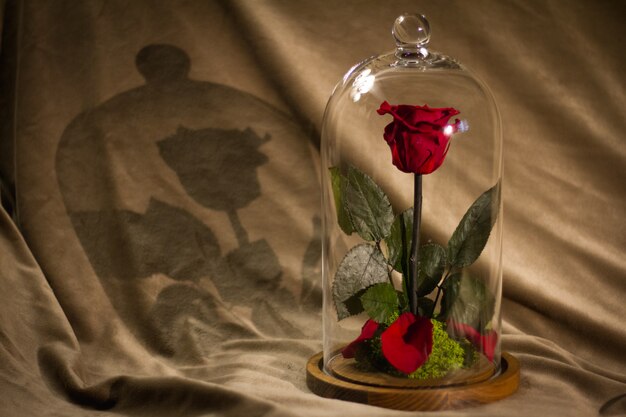 Rose flower decorated in glass bowl