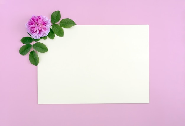 A rose flower and a piece of paper  Flat lay top view