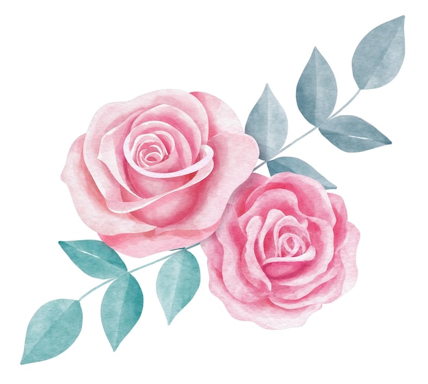 Photo rose flower watercolor style