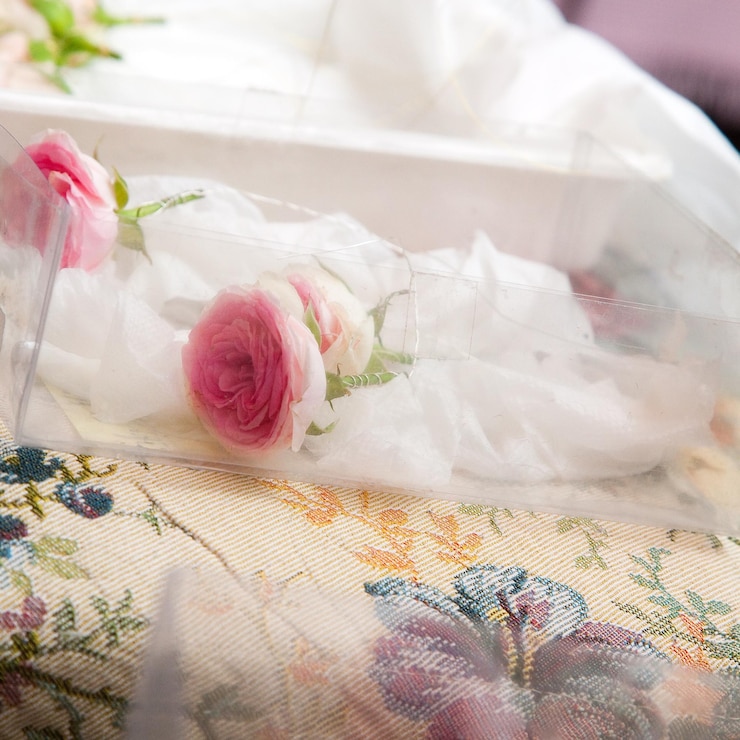 Photo rose and flower