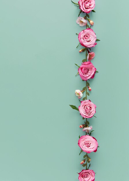 Photo rose flowers arranged in line isolated on blue background smartphone wallpaper