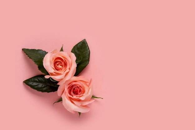 ピンクの背景にバラの花の花束バレンタインデーのグリーティングカード。コピースペース