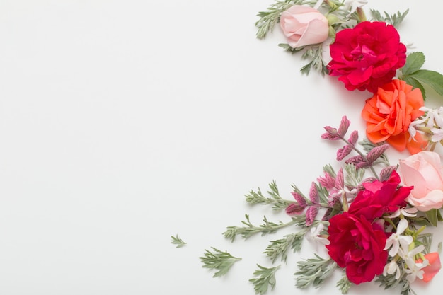 Rose flowers and leaves on white background