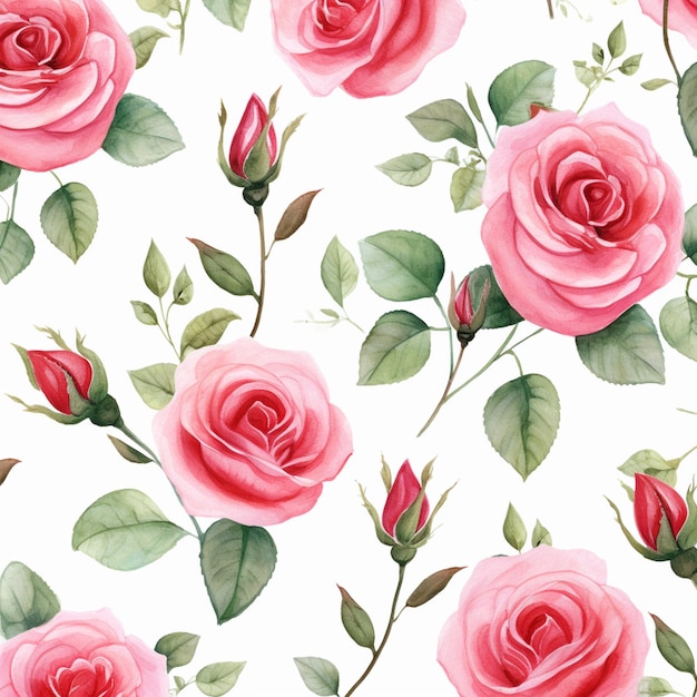 Rose flowers watercolor seamless patterns background