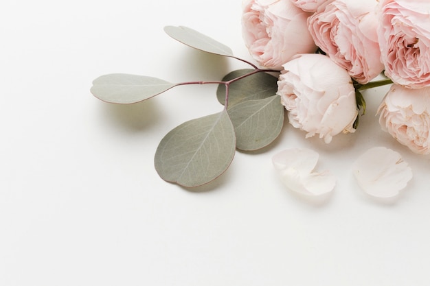 Rose flowers with leaves arrangement high view