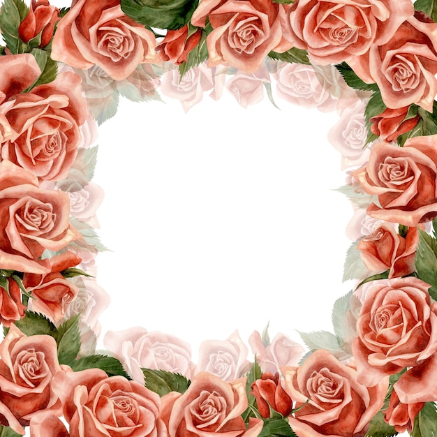 Foto cornice rosa illustrazione dell'acquerello per clipart progettato per studi di fiori decorazioni per le vacanze matrimoni imballaggi tessuti web design siti web adesivi inviti modelli loghi disegnati a mano