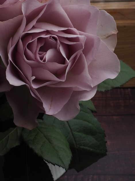 A rose in front of a wooden table