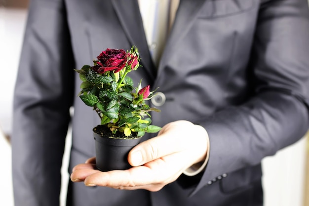 Photo rose in hand man suit