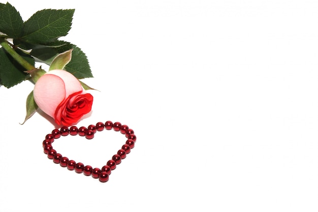 A rose and a heart made of red magnetic beads are isolated on white