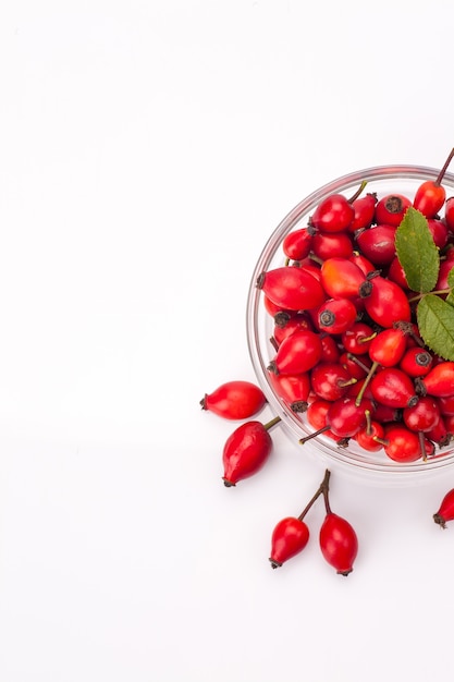 Rose hip isolated