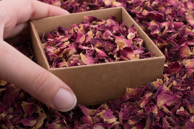 Rose petals in box and as a background