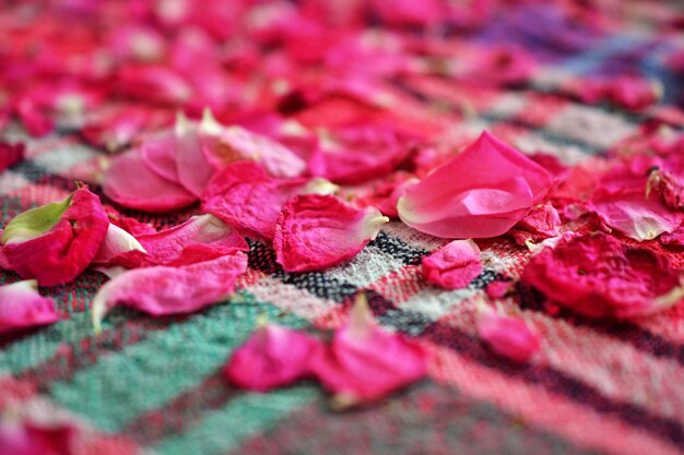 rose petals drying on a table cloth