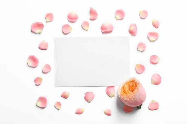 Rose petals flower and empty card on light background