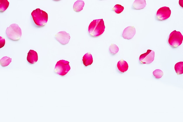 Photo rose petals isolated on white.