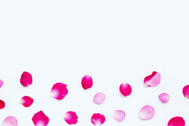 Photo rose petals isolated on white.