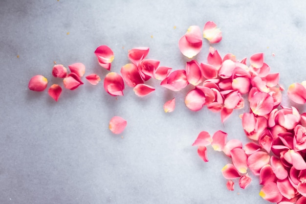 Rose petals on marble stone floral background