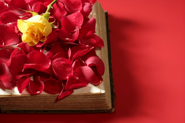 Rose petals over old aged book