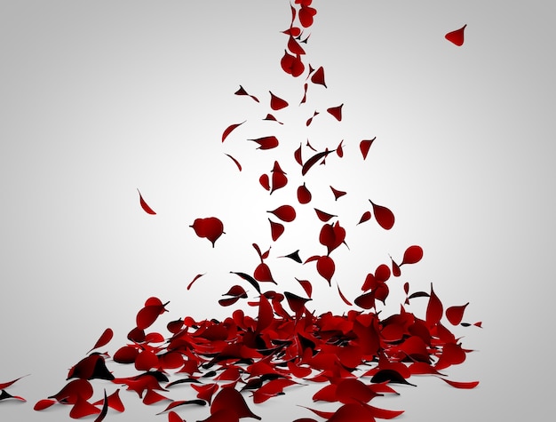 Photo rose petals