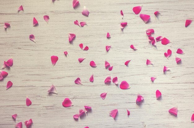 Rose pink petals are randomly scattered on light white shabby wooden background romantic beautiful spring background