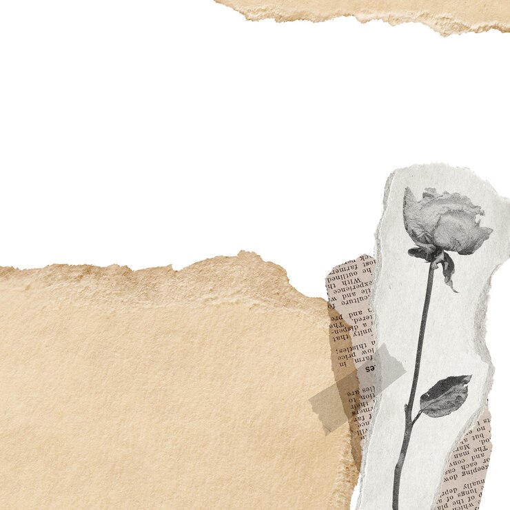 Photo rose png border ripped paper transparent background