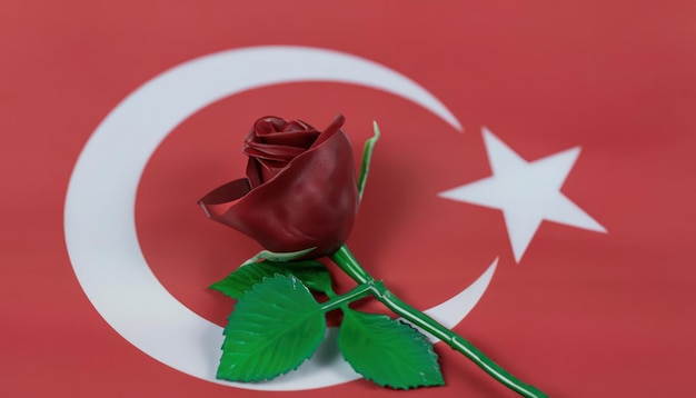 Photo rose on turkish flag