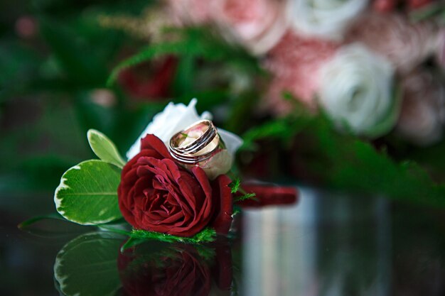 Photo rose wedding flower ring love red marriage gold rings jewelry romance nature flowers white valentine bouquet beauty pink engagement roses green macro diamond band married