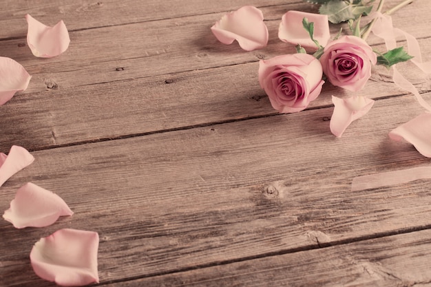 Rose on wooden background